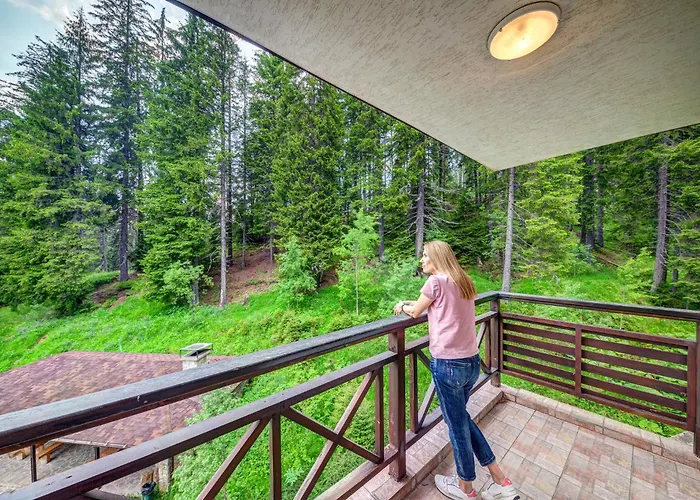 The Stream Resort Pamporovo